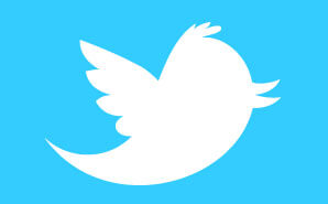 twitter-bird